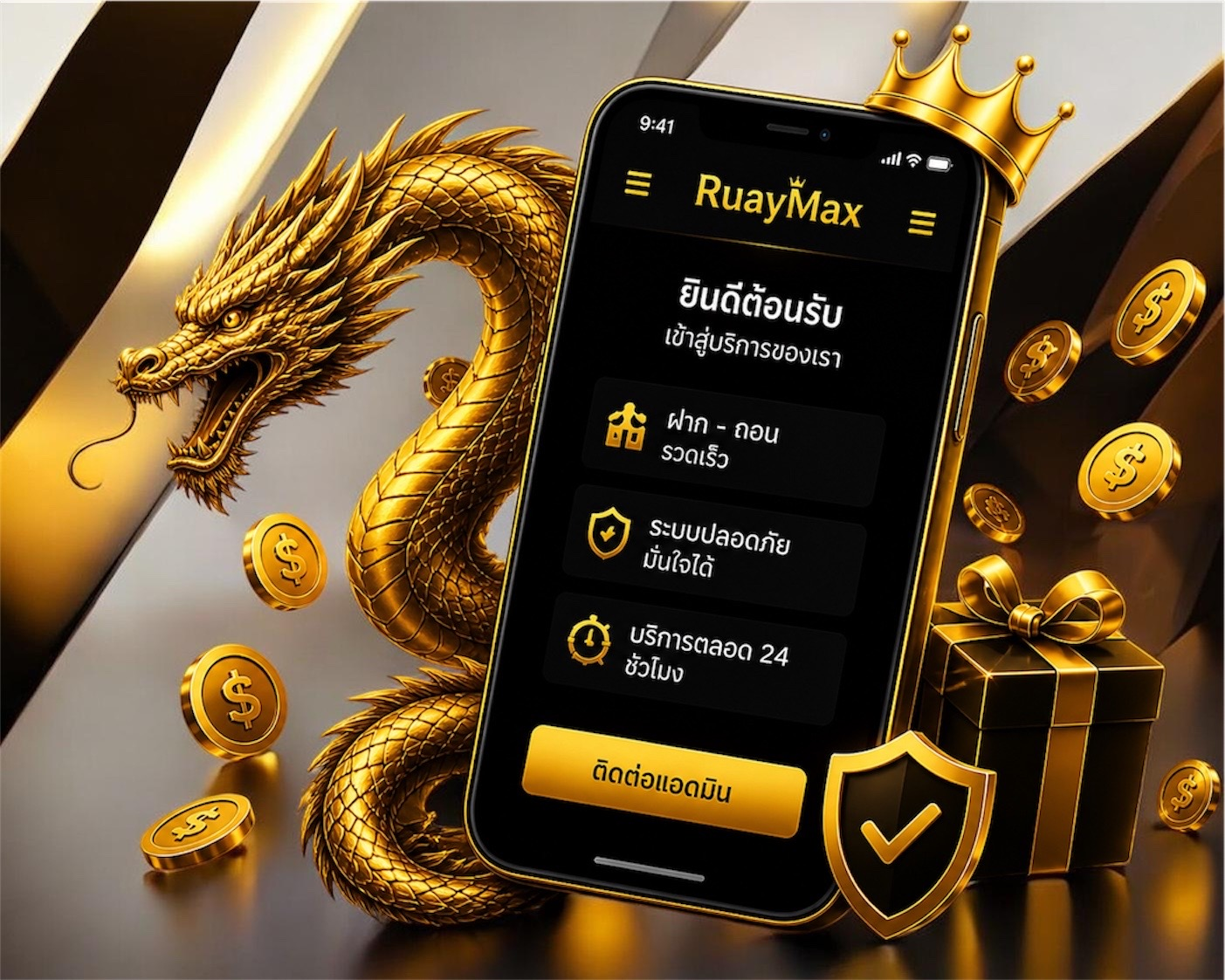 RuayMax Service Hero